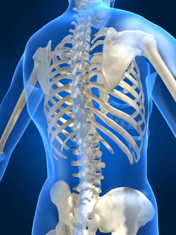 How Chiropractic Can Help Put A Rib Back Into Place - Female ...