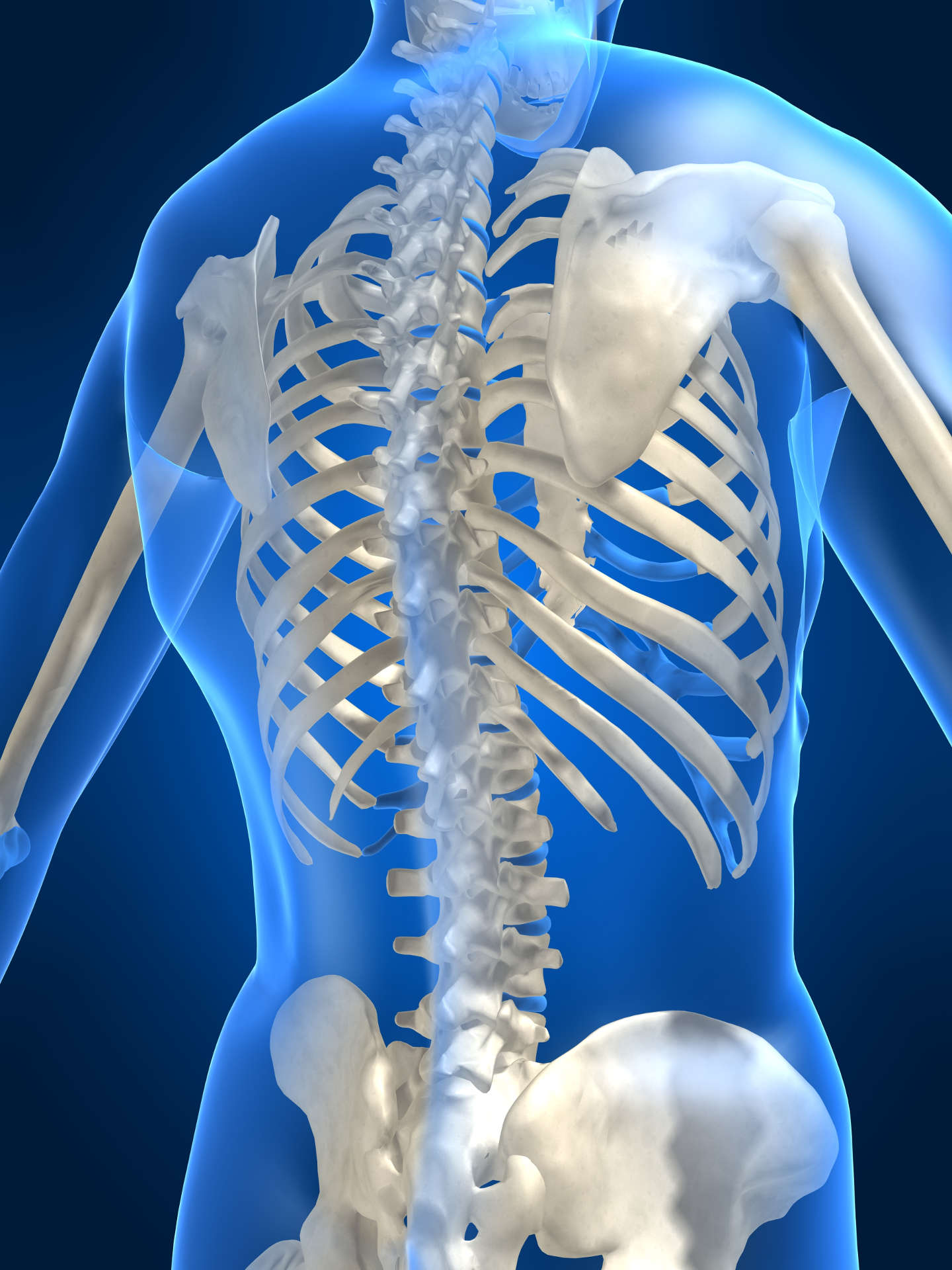 Do Chiropractors Put Bones Back in Place?